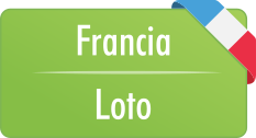 Lotteria francia-loto-5-49